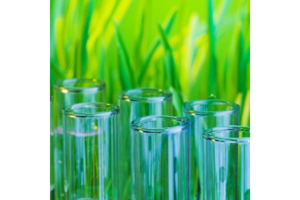 Image Bio-based packaging.